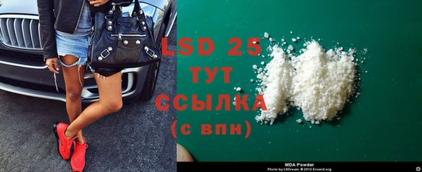 эйфоретик Богданович