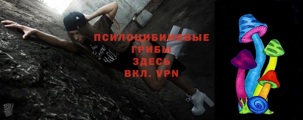 дмт Богородицк