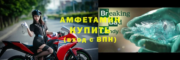 эйфоретик Богданович