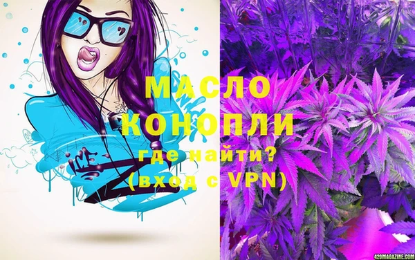 дмт Богородицк