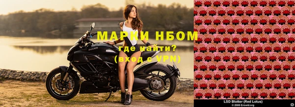 эйфоретик Богданович