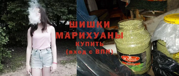 дмт Богородицк