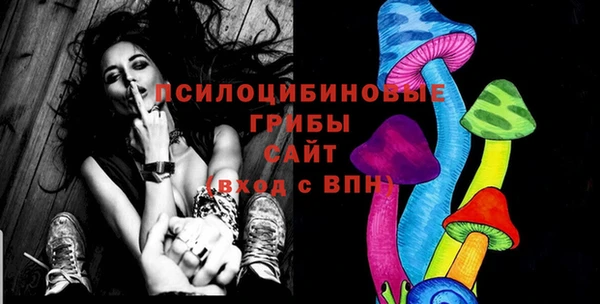 эйфоретик Богданович
