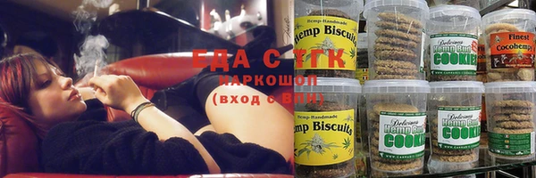 дмт Богородицк
