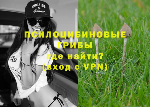 apvp Богородск