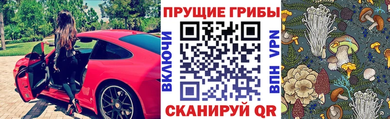 купить наркоту  Дубна  Псилоцибиновые грибы Psilocybe 